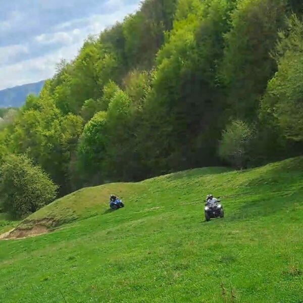 Traseul 1 Poiana Doinei - 5km